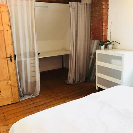 Gemutliches Stadthaus Mit Privatem Hof Und Garten * Mainz
