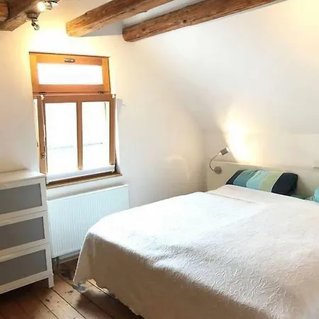 Gemutliches Stadthaus Mit Privatem Hof Und Garten * Maguncia