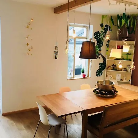 Сasa de vacaciones Gemutliches Stadthaus Mit Privatem Hof Und Garten Maguncia